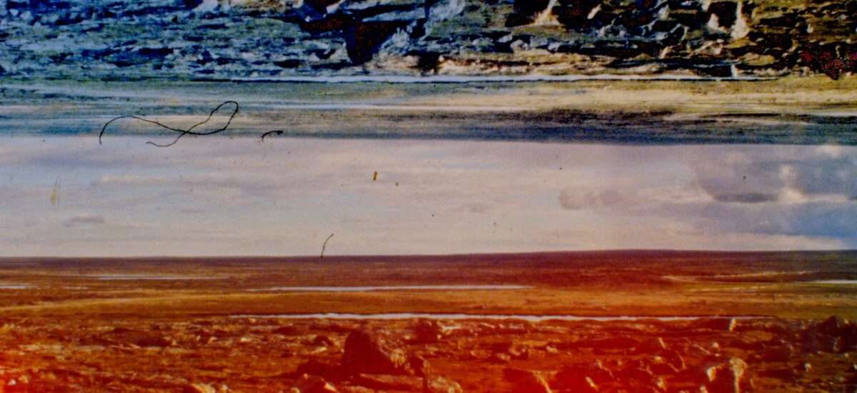 Tuktuit : Caribou
